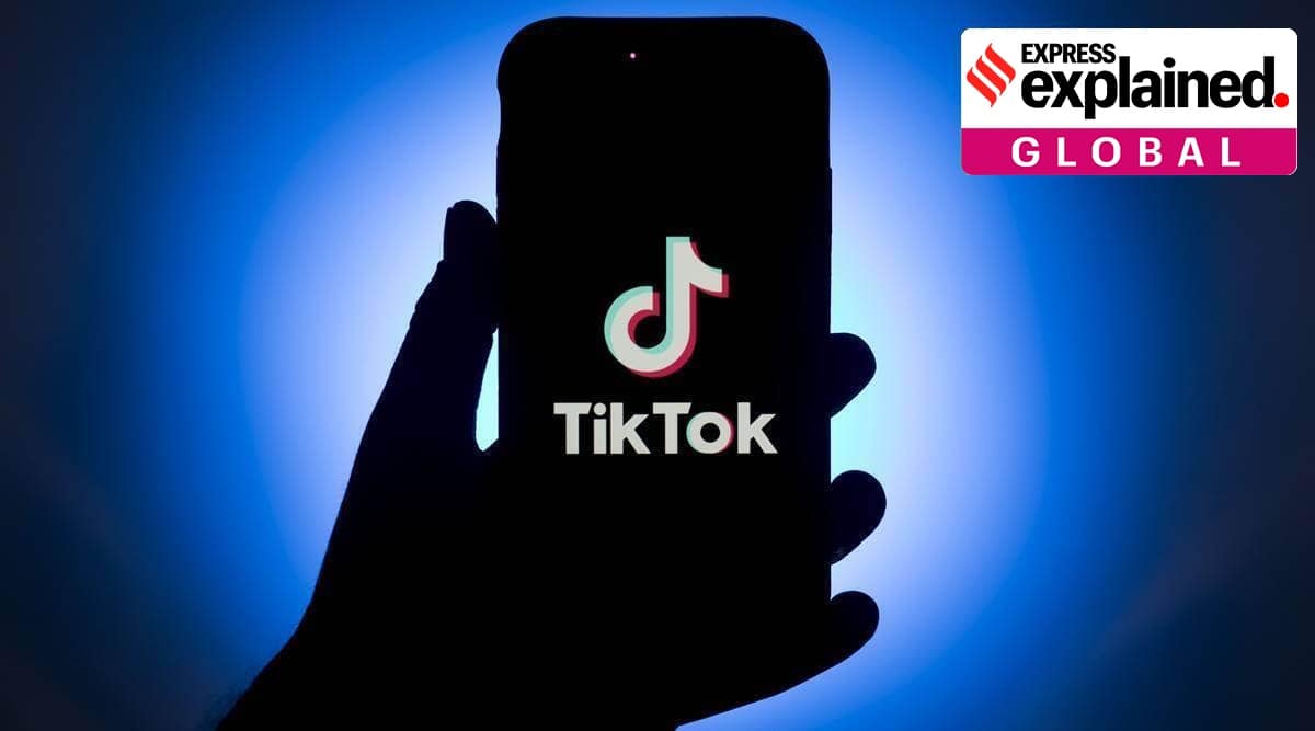 Trusted TikTok Follower Providers for Long-Term Success
