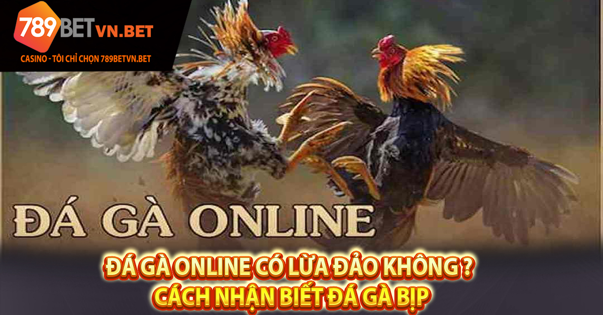 Đá Gà Online Có Lừa Đảo Không ? Cách Nhận Biết Đá Gà Bịp