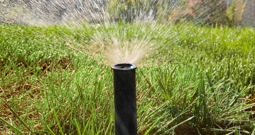 Garden Oasis Awaits Unbeatable Sprinkler System Installation