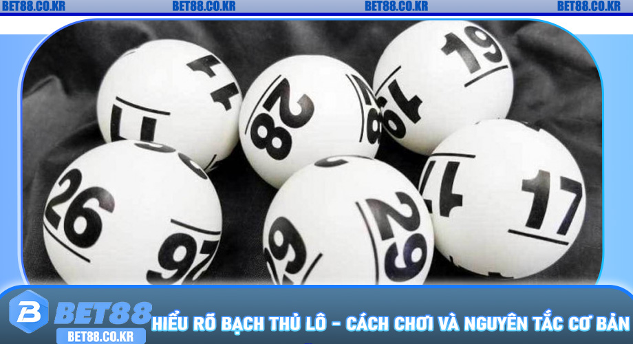 Hiểu Rõ Bạch Thủ Lô - Cách Chơi Và Nguyên Tắc Cơ Bản