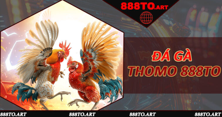 Đá Gà Thomo 888to - Đấu Trường Mãnh Chiến, Giải Trí Đậm Chất Cao Thủ