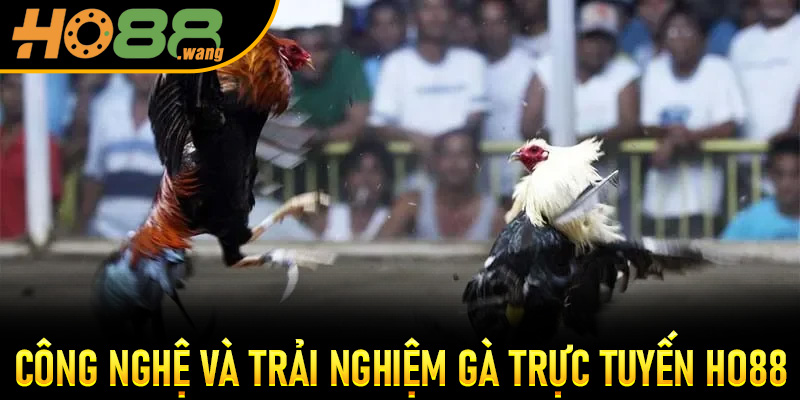 Công nghệ và trải nghiệm Gà Trực Tuyến Ho88